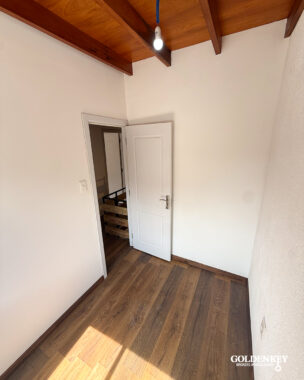 3 (33)
